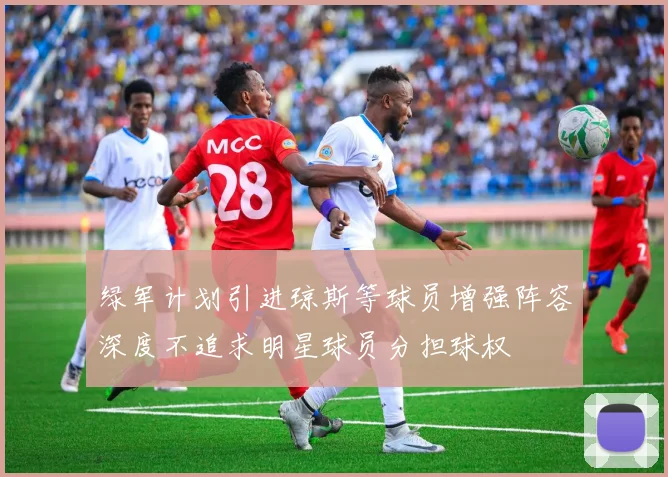 绿军计划引进琼斯等球员增强阵容深度不追求明星球员分担球权