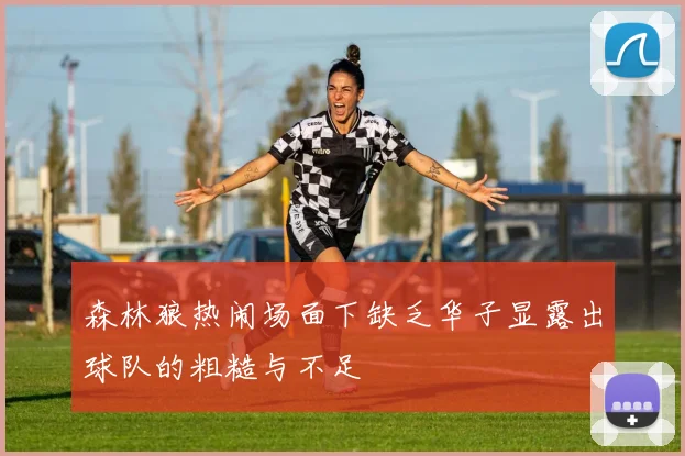 森林狼热闹场面下缺乏华子显露出球队的粗糙与不足