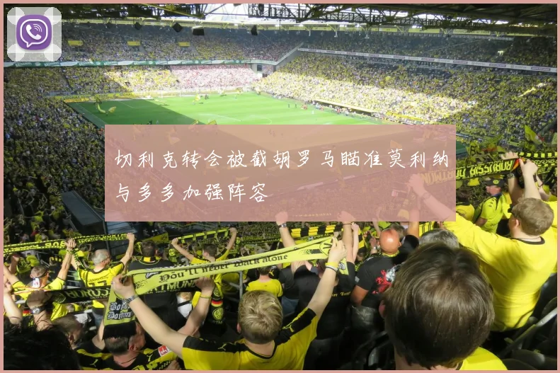 切利克转会被截胡罗马瞄准莫利纳与多多加强阵容