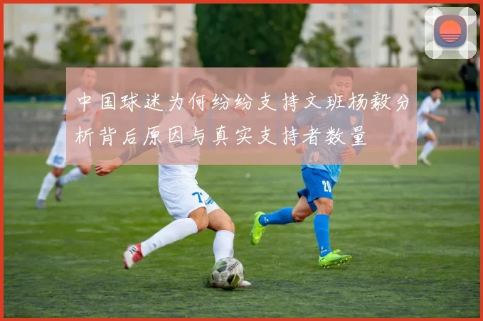 中国球迷为何纷纷支持文班杨毅分析背后原因与真实支持者数量